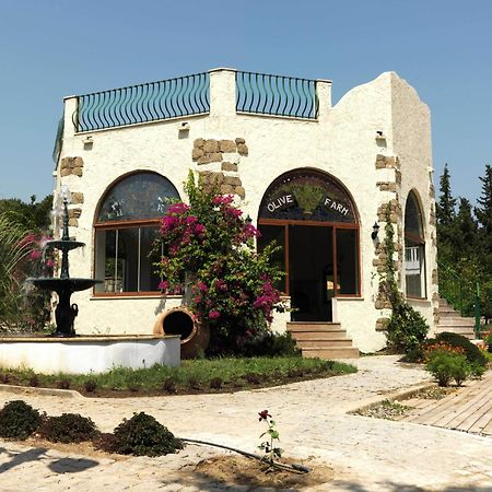 فندق أوليف فارم أوف داتْشا غيست هاوس المظهر الخارجي الصورة
